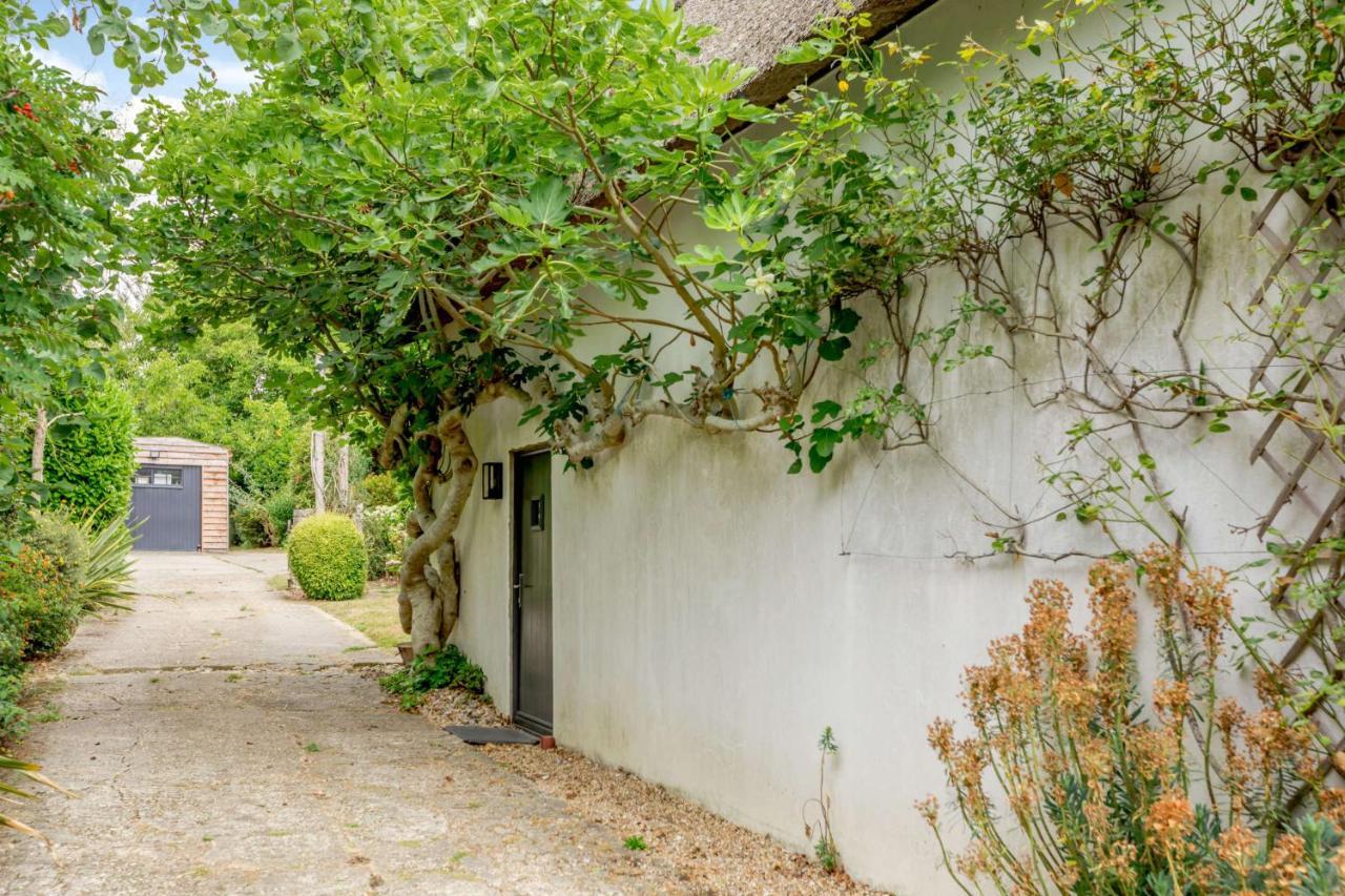 Little Thatch Lovely 2-Bed Near Weymouth Radipole Ngoại thất bức ảnh